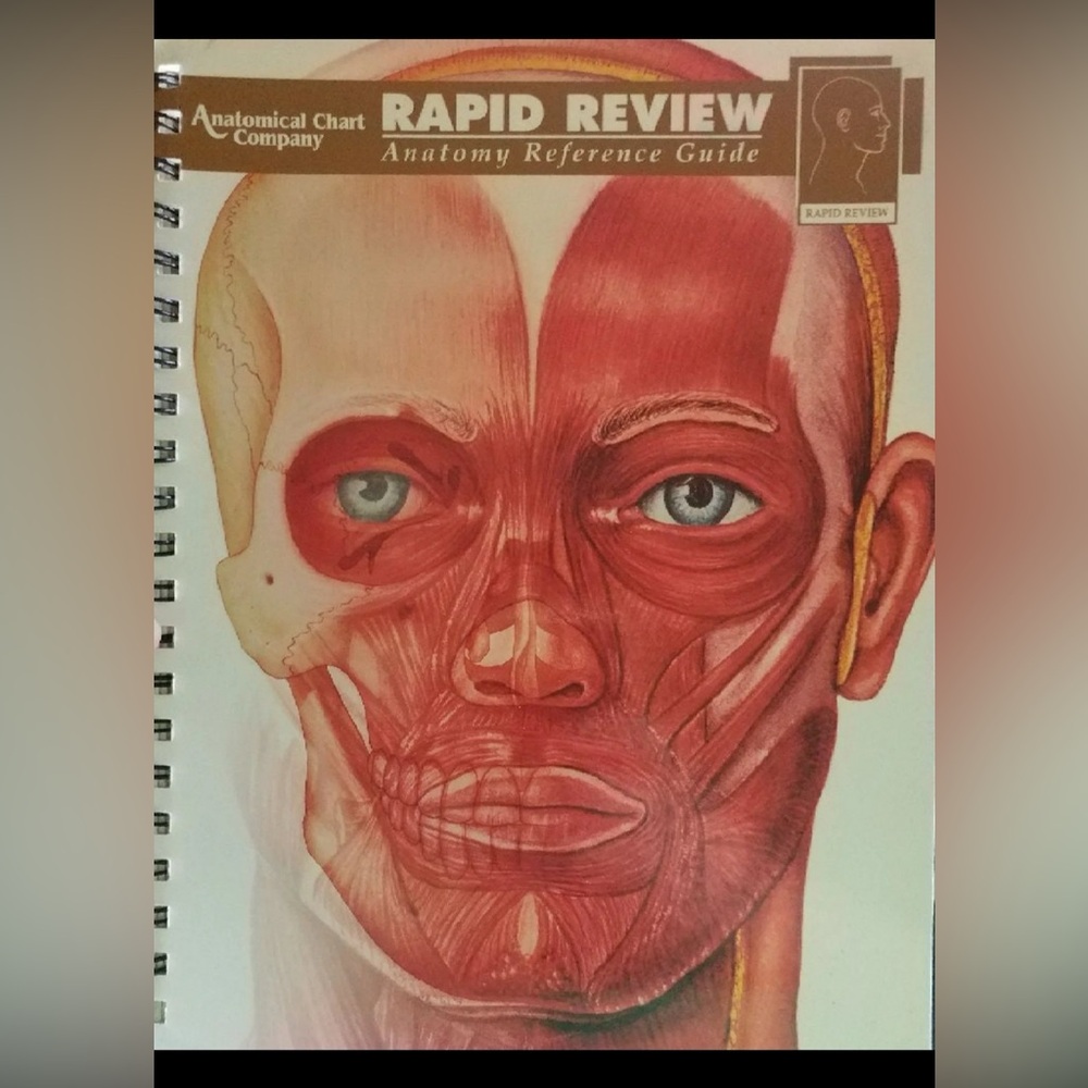Rapid Review Anatomy Reference Guide with clear study overlays.